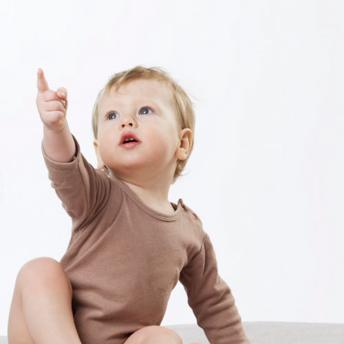 baby pointing - indicating the important skill of joint attention